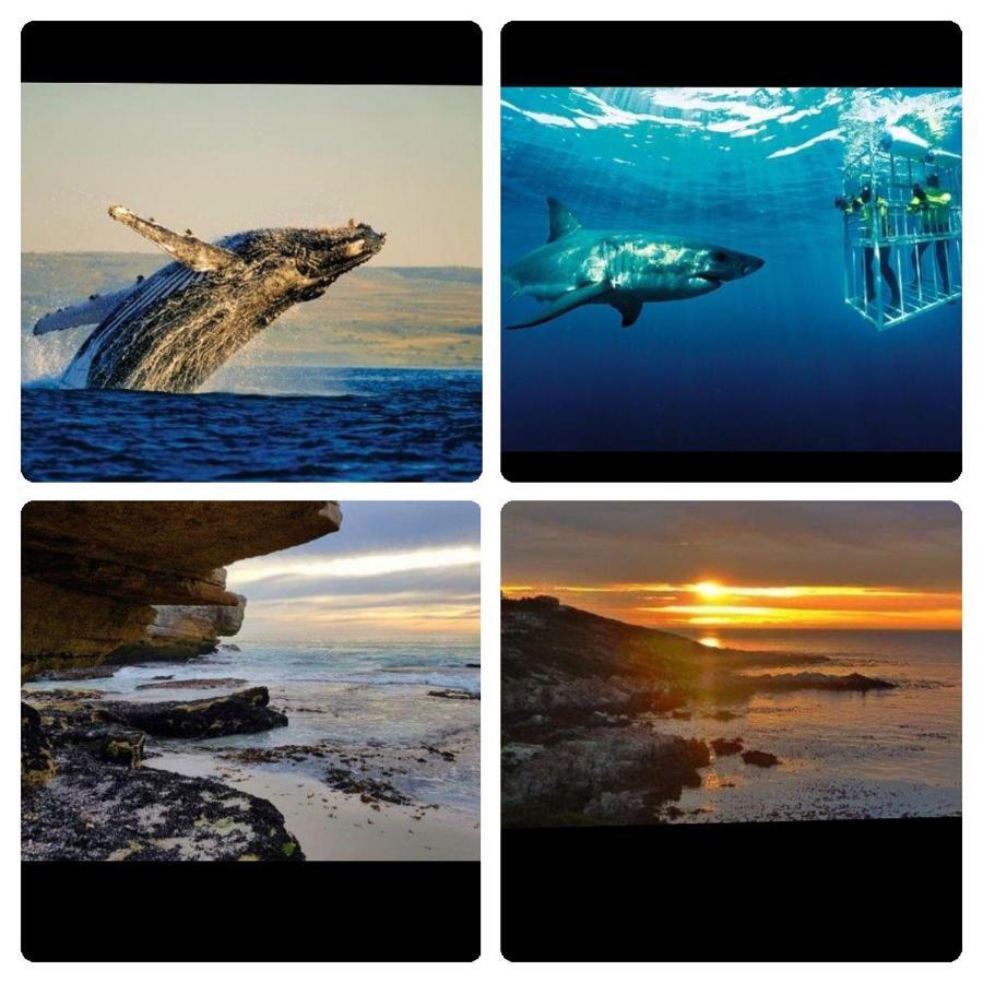 Shark Cove Little Cottage Kleinbaai Екстер'єр фото